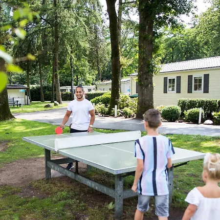 Well-kept With Dishwasher, On A In The Middle Of De Veluwe